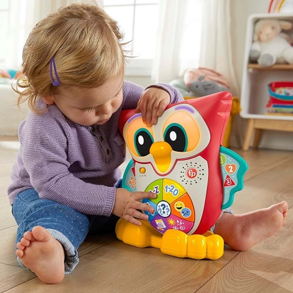 HJN61 FISHER PRICE BİLGE BAYKUŞ