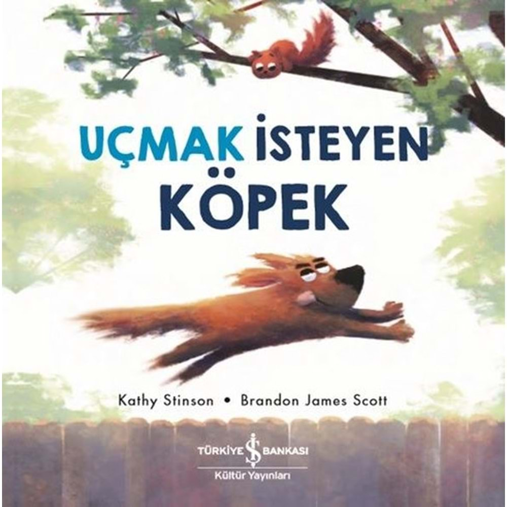 UÇMAK İSTEYEN KÖPEK