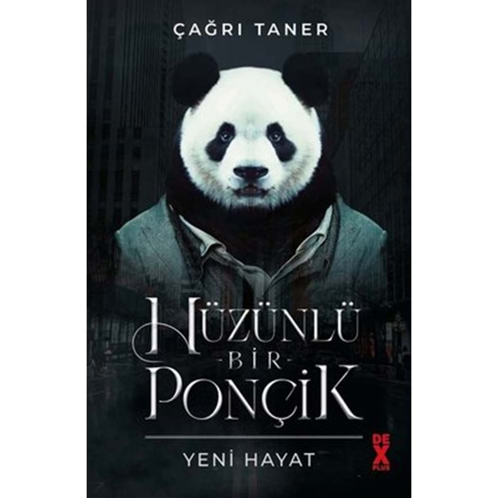 HÜZÜNLÜ BİR PONÇİK (ÇAĞRI TANER)