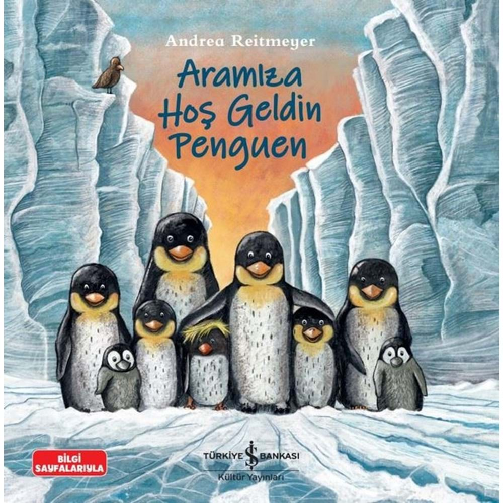 ARAMIZA HOŞ GELDİN PENGUEN