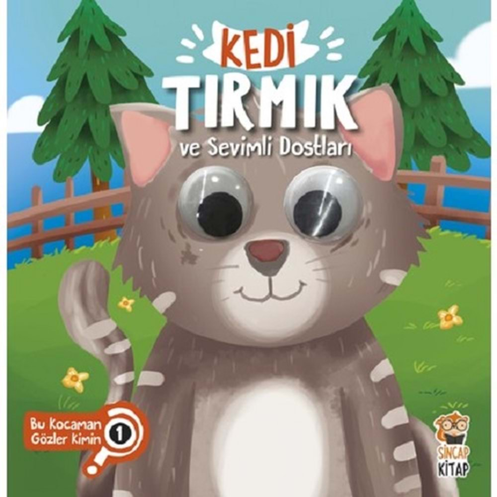 KEDİ TIRMIK VE SEVİMLİ DOSTLARI- BU KOCAMAN GÖZLER KİMİN