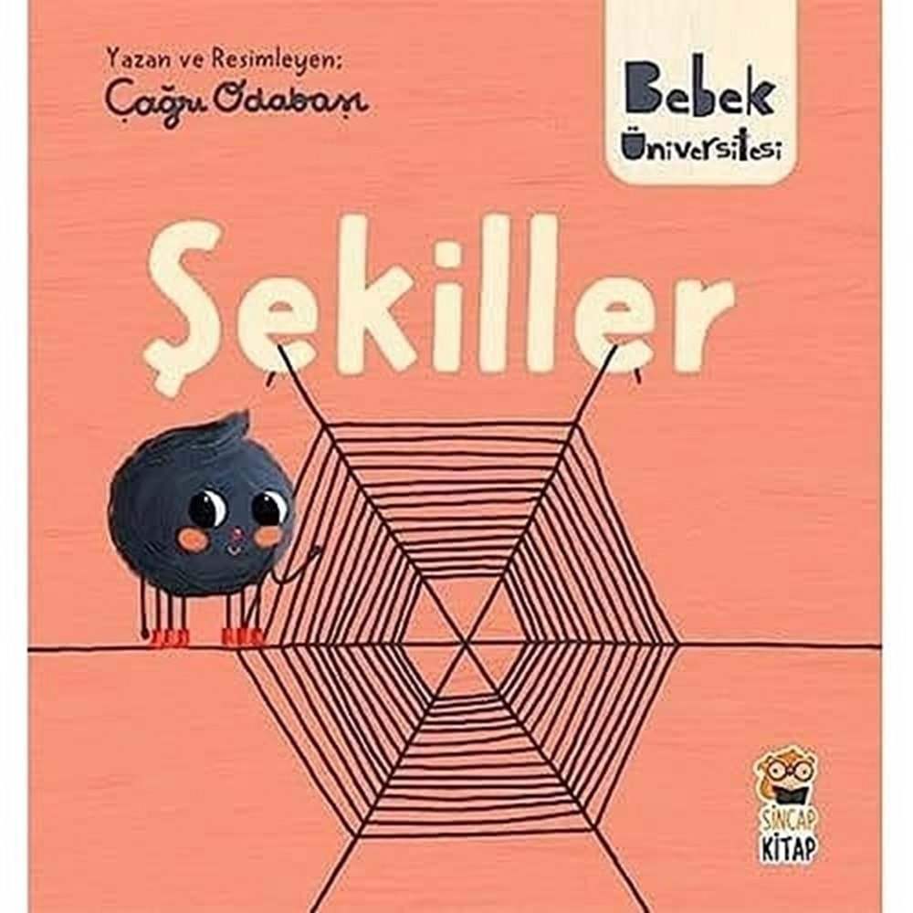 BEBEK ÜNİVERSİTESİ-ŞEKİLLER