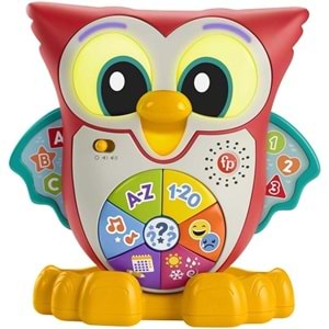 HJN61 FISHER PRICE BİLGE BAYKUŞ