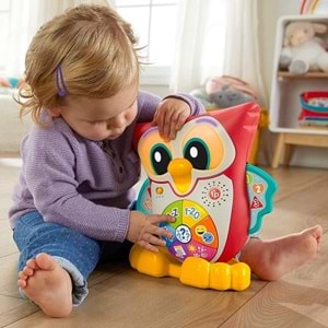 HJN61 FISHER PRICE BİLGE BAYKUŞ