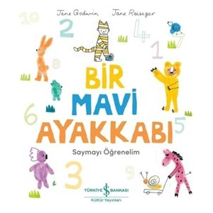 BİR MAVİ AYAKKABI