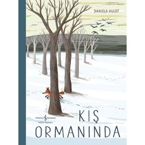 KIŞ ORMANINDA