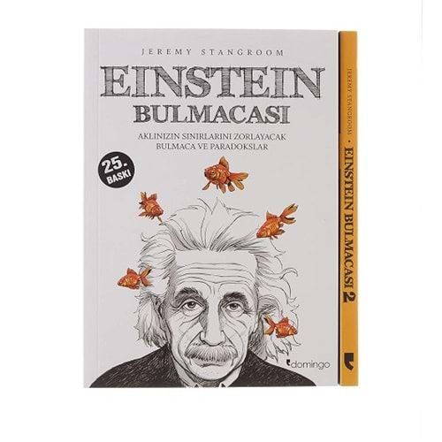 EINSTEIN BULMACASI - JEREMY STANGROOM