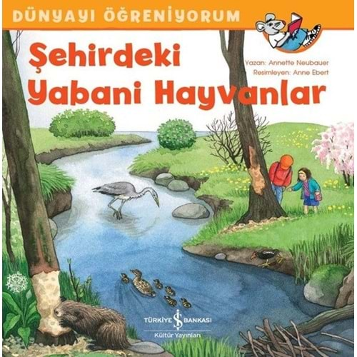 DÜN.ÖĞ. - ŞEHİRDEKİ YABANİ HAYVANLAR