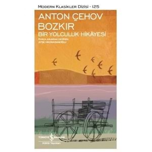 BOZKIR BİR YOLCULUK HİKAYESİ (ANTON ÇEHOV ) - 125