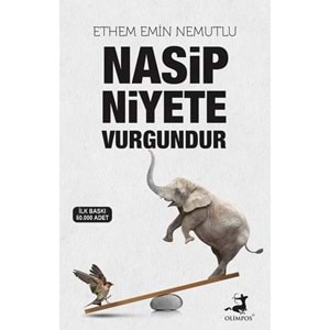 MASİP NİYETE VURGUNDUR-ETHEM EMİN MUTLU