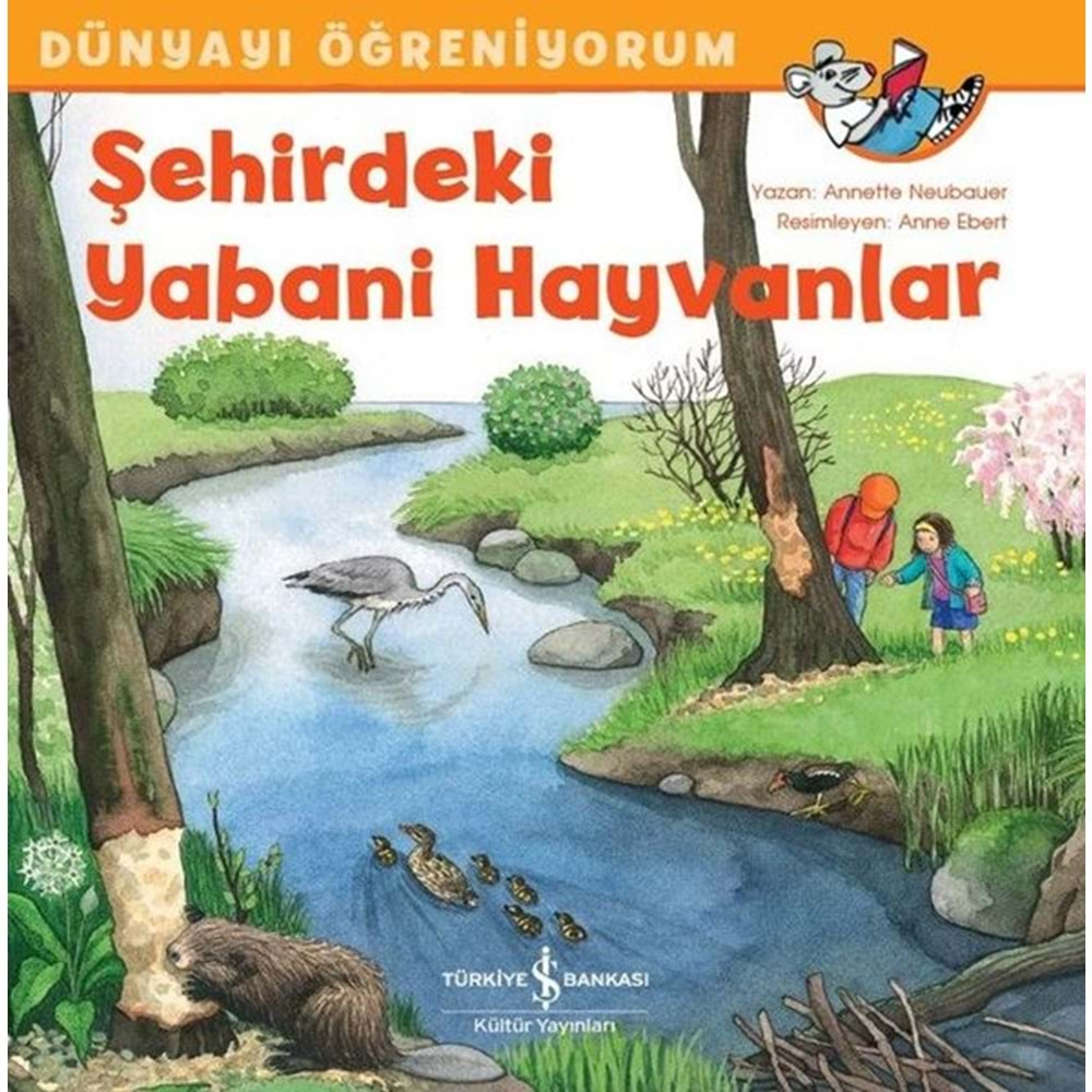 DÜN.ÖĞ. - ŞEHİRDEKİ YABANİ HAYVANLAR