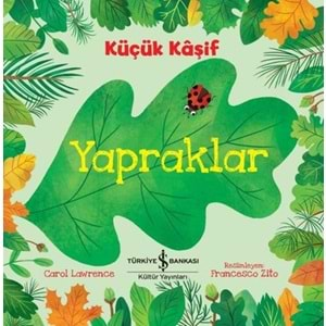 KÜÇÜK KAŞİF- YAPRAKLAR