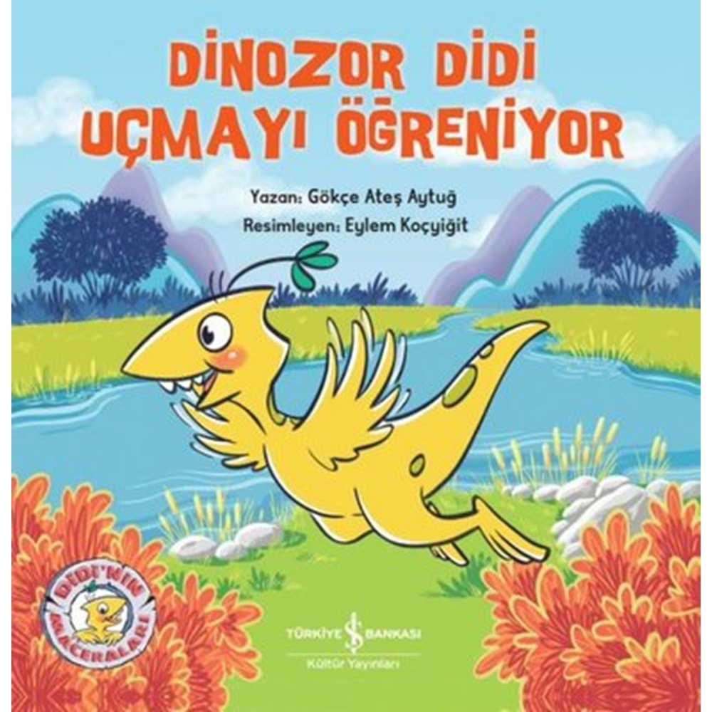 DİNZOR DİDİ UÇMAYI ÖĞRENİYOR