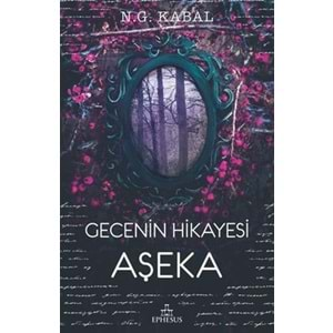 GECENİN HİKAYESİ AŞEKA