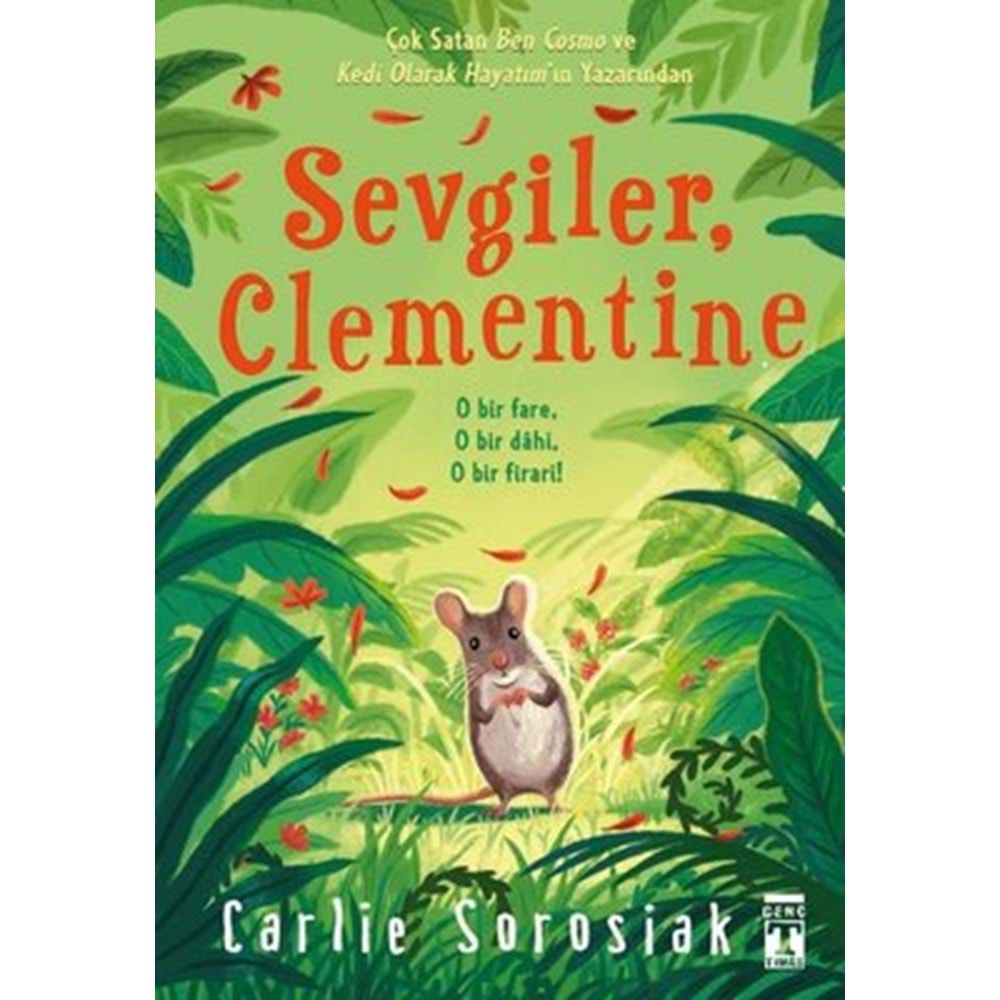 SEVGİLER CLEMENTİNE